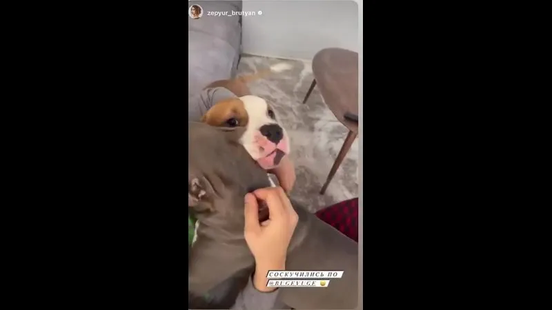 Нажми и смотри Нажми и смотри