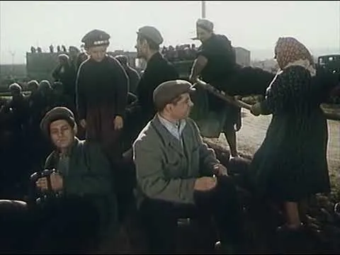 Нажми и смотри Нажми и смотри
