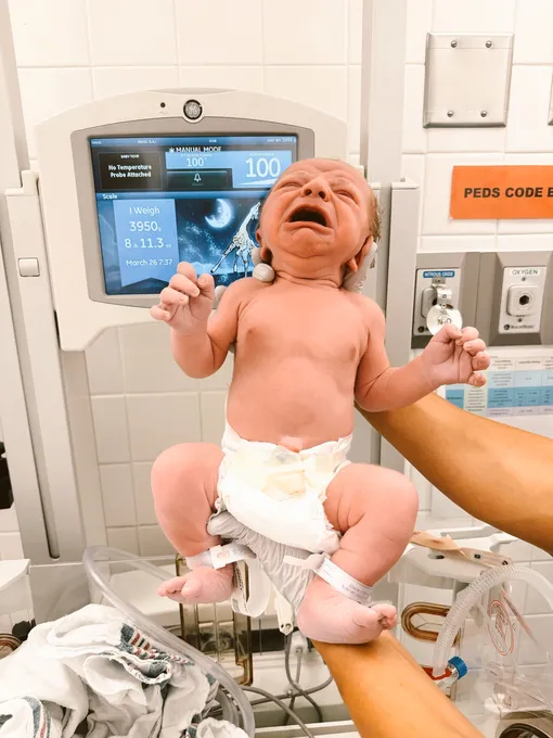 Келли Макки Зайфен родила Келли Макки Зайфен родила