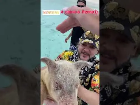 Нажми и смотри Нажми и смотри
