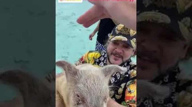 Нажми и смотри