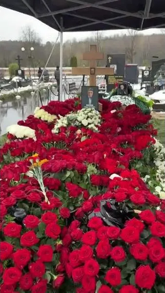 Нажми и смотри