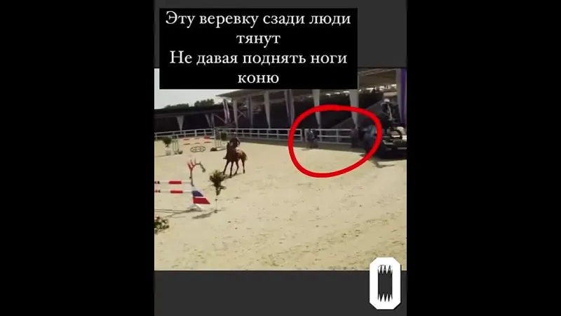 Нажми и смотри
