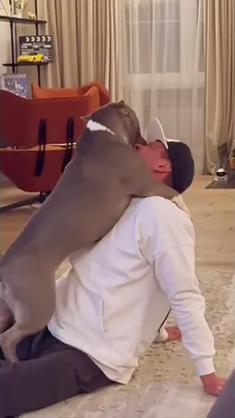 Нажми и смотри