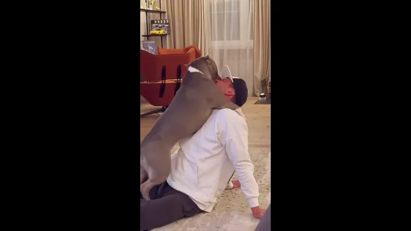 Нажми и смотри Нажми и смотри