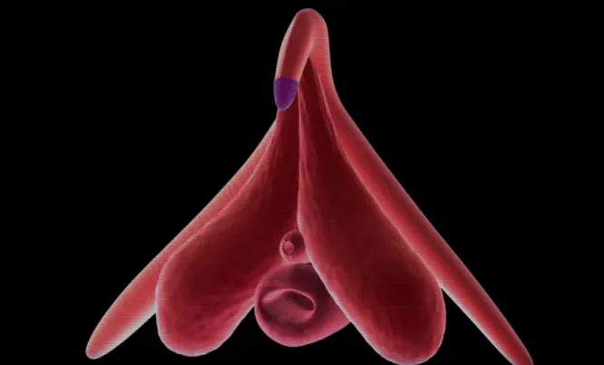 Қайын атаның қайын енесімен жыныстық қатынасқа түсуі