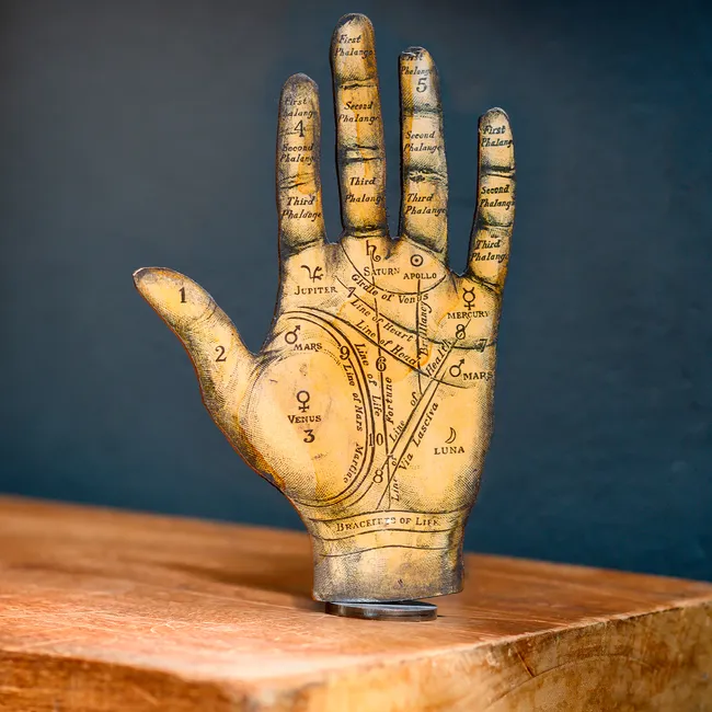 Чтение по ладони для начинающих: основные линии и за что они отвечают