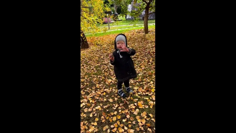 Нажми и смотри Нажми и смотри