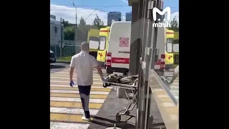 Нажми и смотри Нажми и смотри