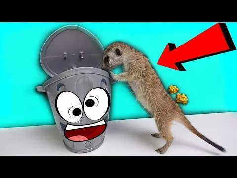 Нажми и смотри Нажми и смотри