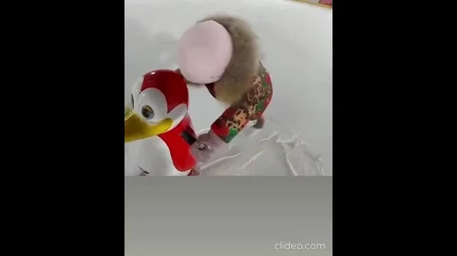 Нажми и смотри