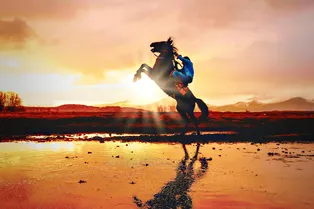 Что 2026 год означает по китайскому календарю и каким он будет для каждого знака Что 2026 год означает по китайскому календарю и каким он будет для каждого знака