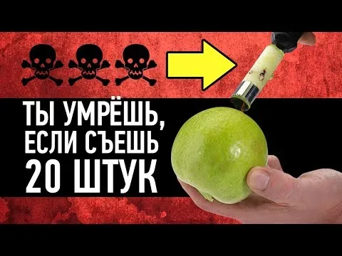 Нажми и смотри Нажми и смотри