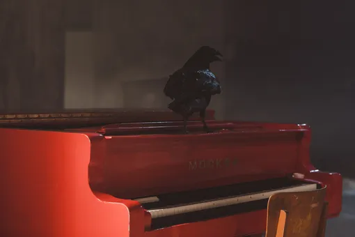 С 23 по 27 февраля в центре «Вишневый сад» пройдет спектакль «Борис»