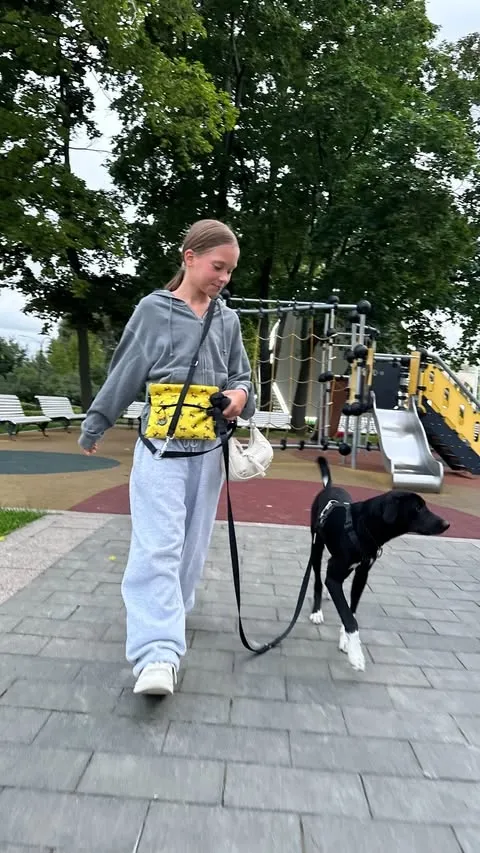 Дочь Кристины Асмус на прогулке с псом