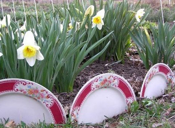 Border made from old plates
