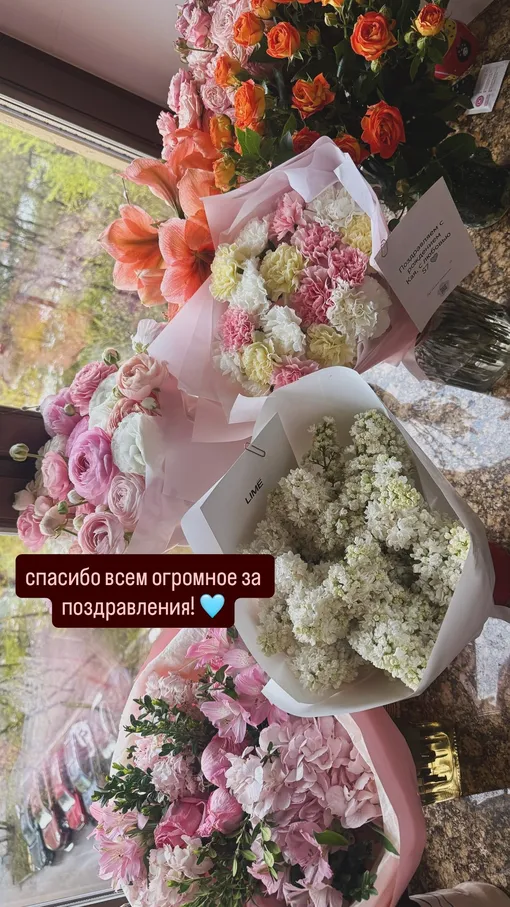 Мила Ершова вернулась домой из роддома