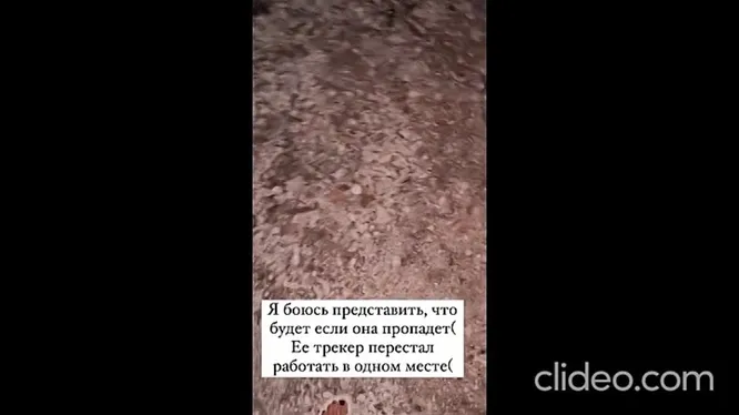 Нажми и смотри