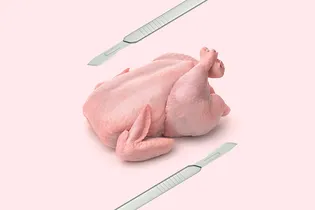Куринопластика: зачем студенты-медики скупают тушки цыплят