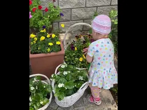 Нажми и смотри Нажми и смотри
