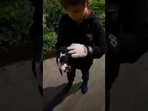 Нажми и смотри Нажми и смотри