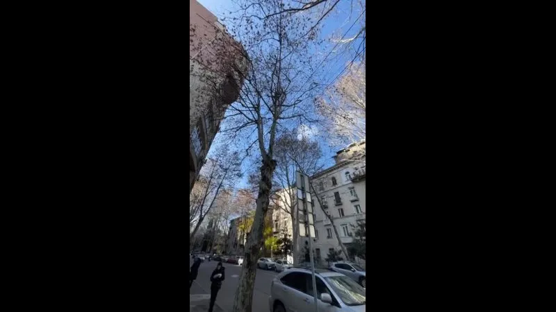 Нажми и смотри