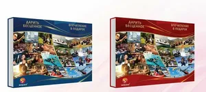 Подарок-впечатление «Твои мечты» Подарок-впечатление «Твои мечты»