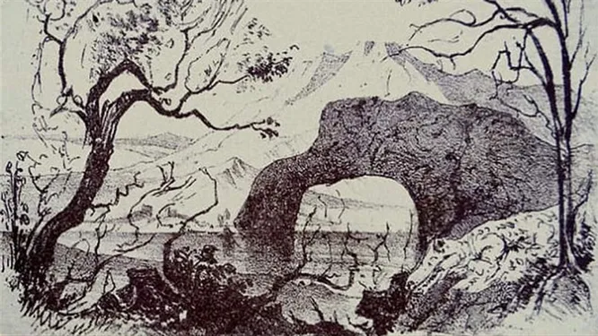 Сколько животных на картинке? Сколько животных на картинке?