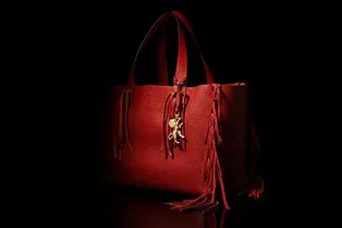Valentino выпустили зодиакальные сумки Valentino выпустили зодиакальные сумки