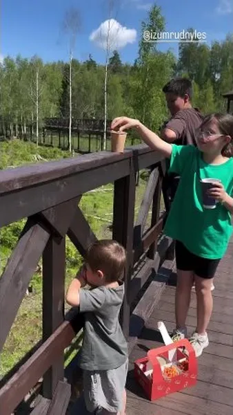 Нажми и смотри