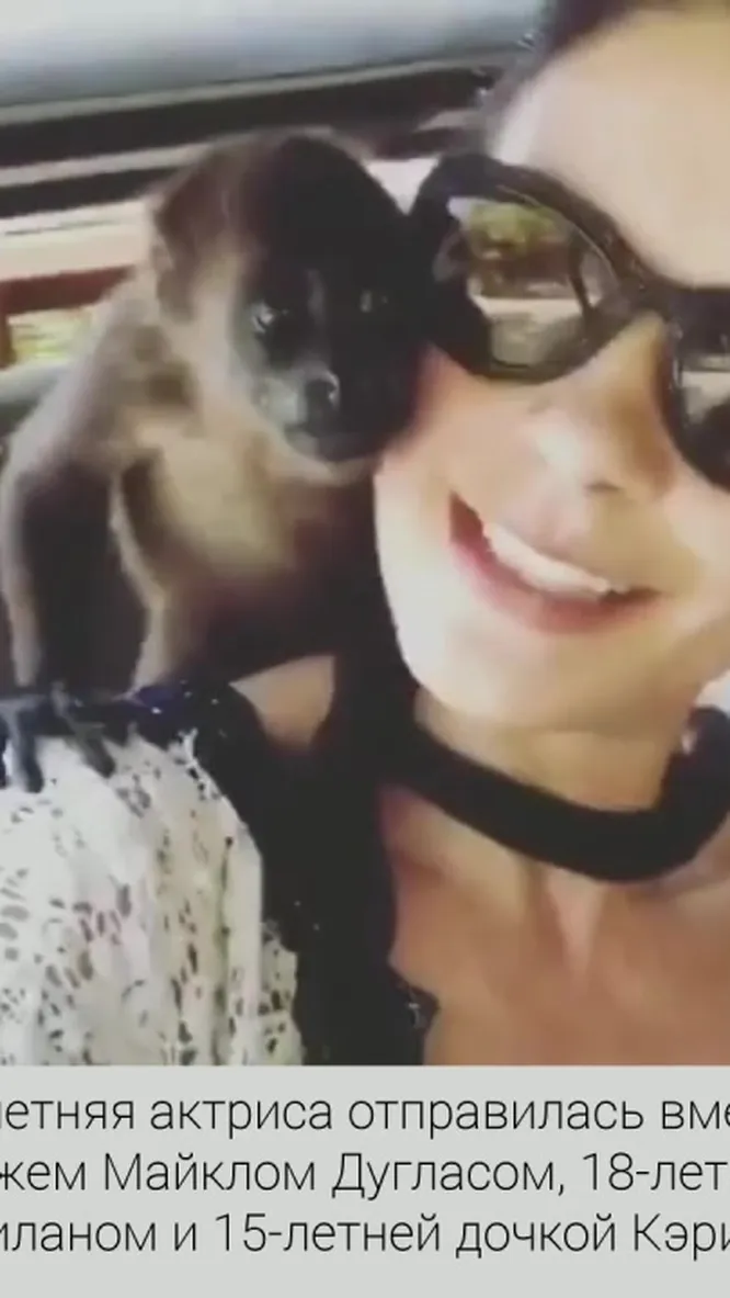 Нажми и смотри