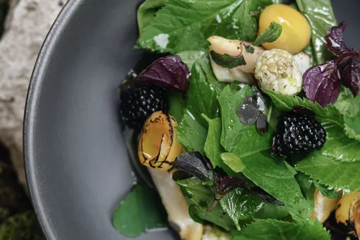 Новые рестораны и блюда, которые нужно срочно пробовать: гастрономический дайджест середины июня