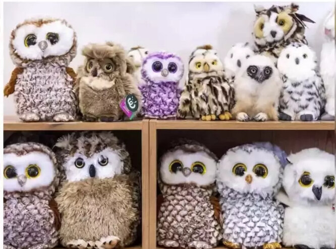 Test: only a genius can find a living owl among the toys