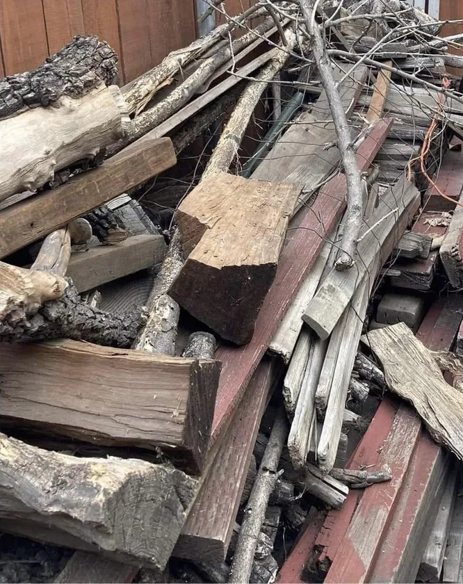 Видишь кота?