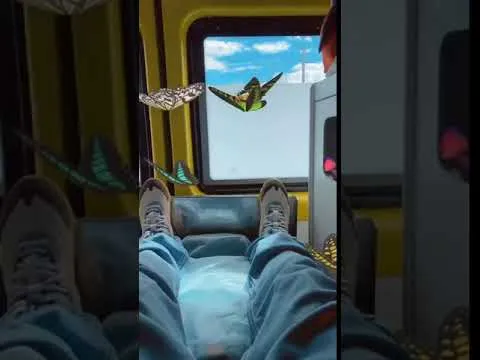 Нажми и смотри Нажми и смотри