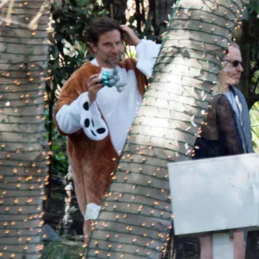 Брэдли Купер