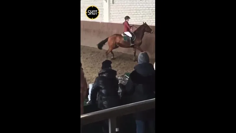 Нажми и смотри Нажми и смотри