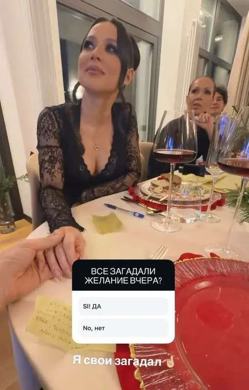 Лерчек встретила Новый год дома