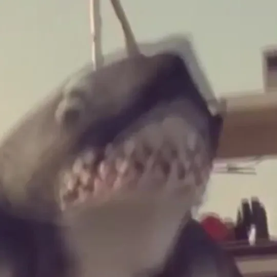 Нажми и смотри