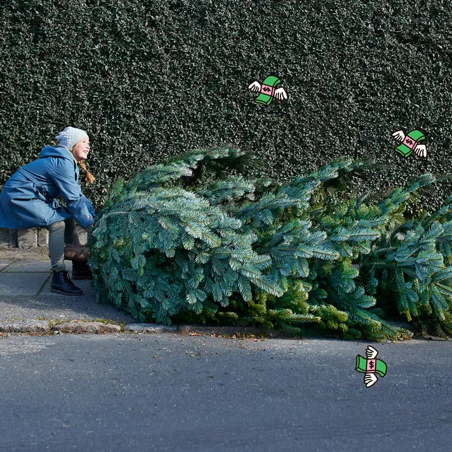 Куда поставить новогоднюю елку по фен-шуй для удачи и счастья в 2024 году?