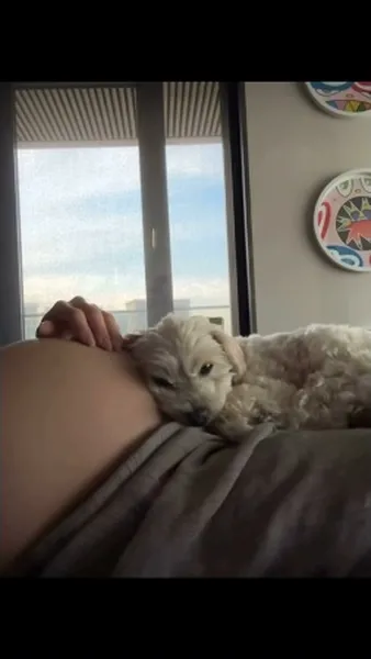 Нажми и смотри