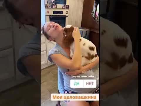 Нажми и смотри Нажми и смотри