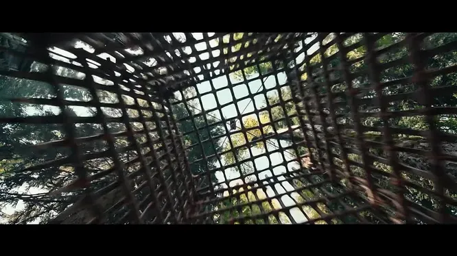 Нажми и смотри