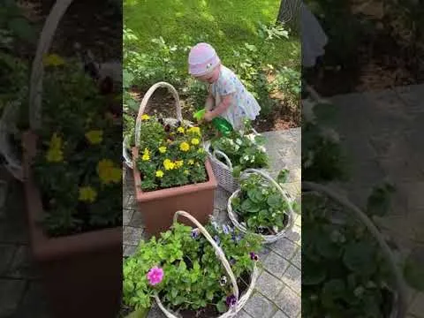 Нажми и смотри