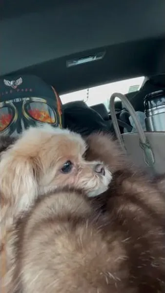 Нажми и смотри