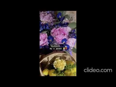 Нажми и смотри Нажми и смотри