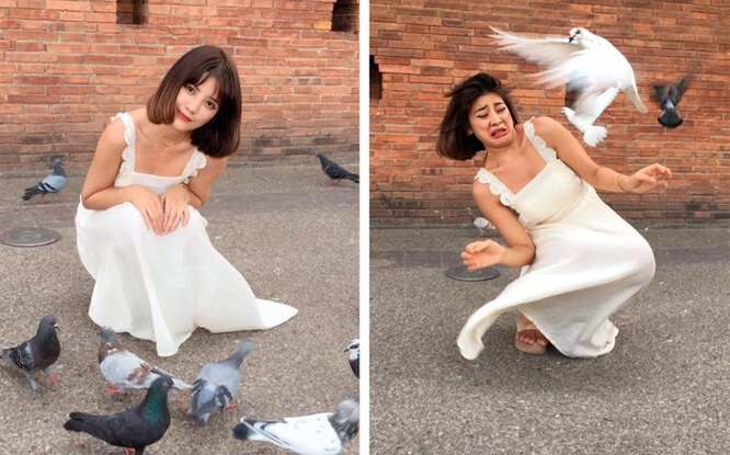The blogger honestly showed what’s behind the perfect pictures on social media – and it’s very funny The blogger honestly showed what’s behind the perfect pictures on social media – and it’s very funny