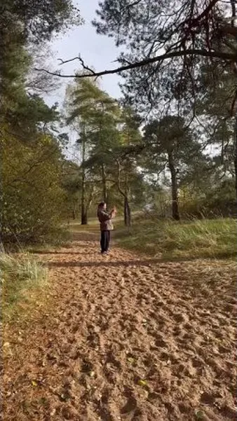 Нажми и смотри