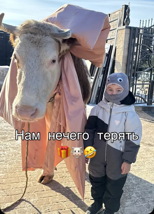 Оксана Самойлова подарила сыну корову Оксана Самойлова подарила сыну корову