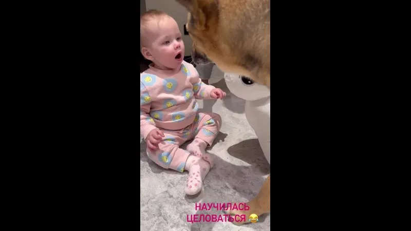 Нажми и смотри Нажми и смотри